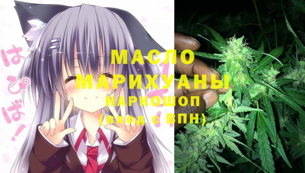 шишки Абаза