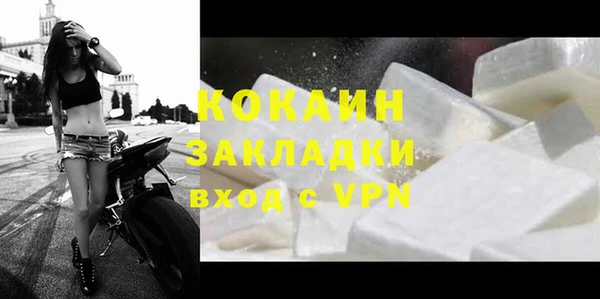 шишки Абаза