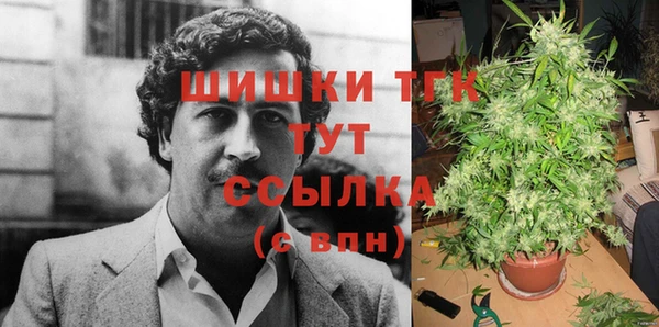 шишки Абаза