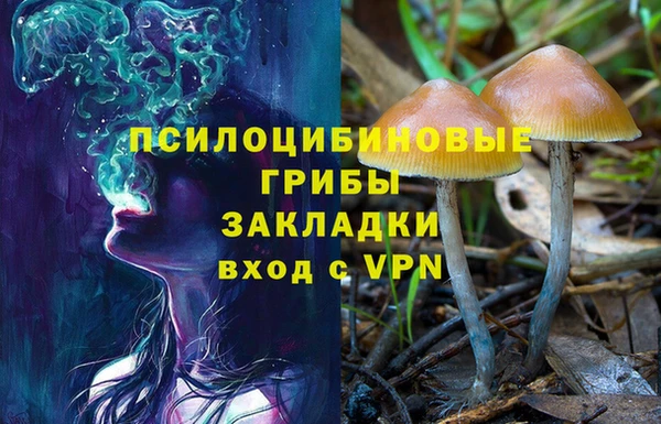 ECSTASY Абдулино