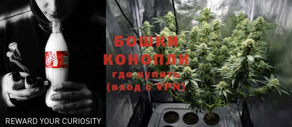 шишки Абаза