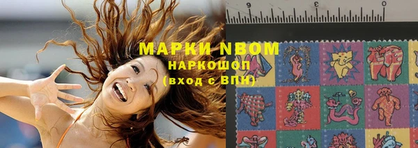 шишки Абаза