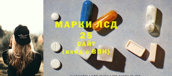 шишки Абаза