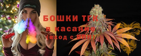 шишки Абаза
