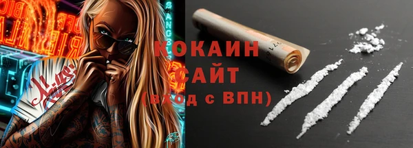 шишки Абаза