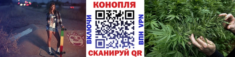 купить наркотики цена  Почеп  Бошки марихуана гибрид 